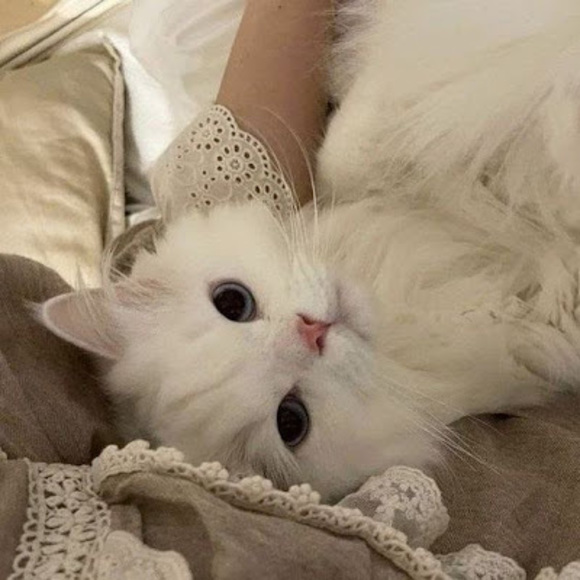 Meet your Posher, Marta - Picture 1 of 1